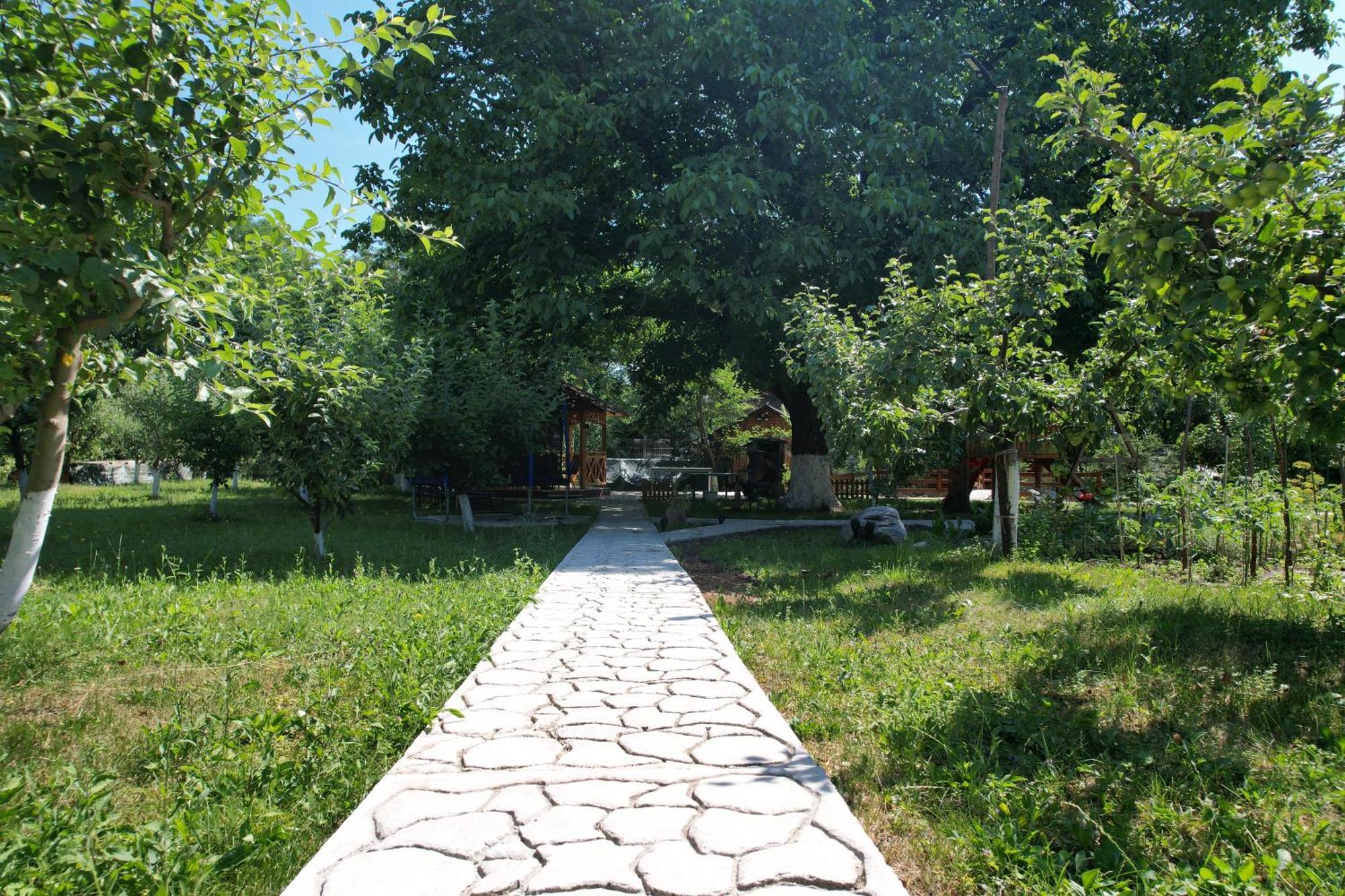 Hotel Casa Stefandra à Breaza  Extérieur photo